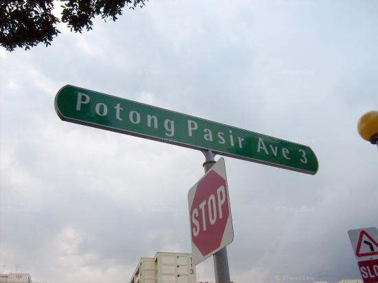 Potong Pasir Avenue 3 #93912